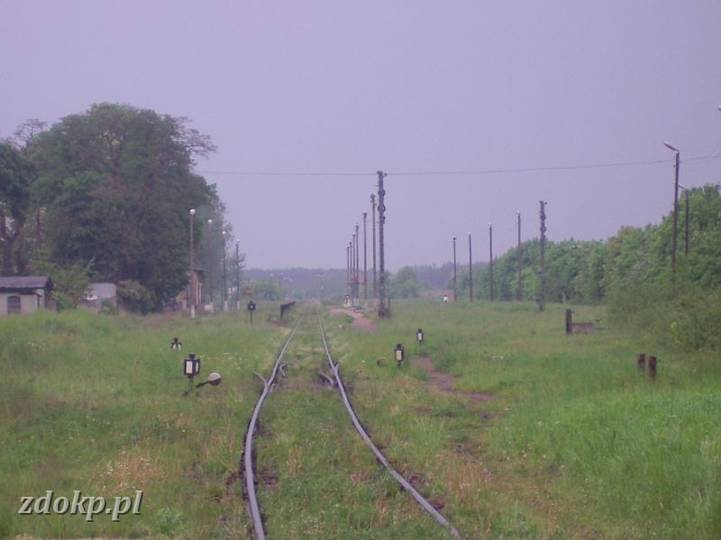 2005-05-23.143 skoki widok z kier poznania SEMAFORY NIECZ!.jpg - Skoki - widok na stacj z kierunku Poznania, w tle nieczynne 2 semafory wyjazdowe na Pozna.